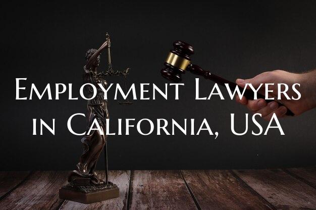 Employment Lawyers in California, USA